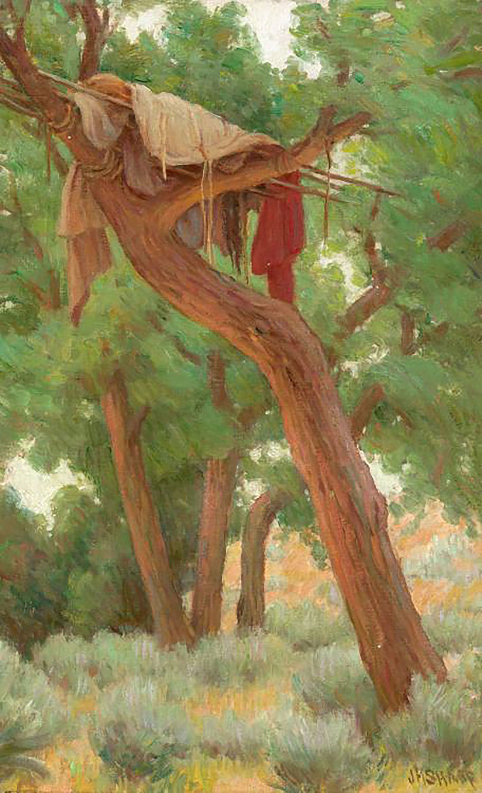 Cottonwood Tree Grave, Crow; [Cottonwood Tree Grave (Crow) on Reno Battle field]